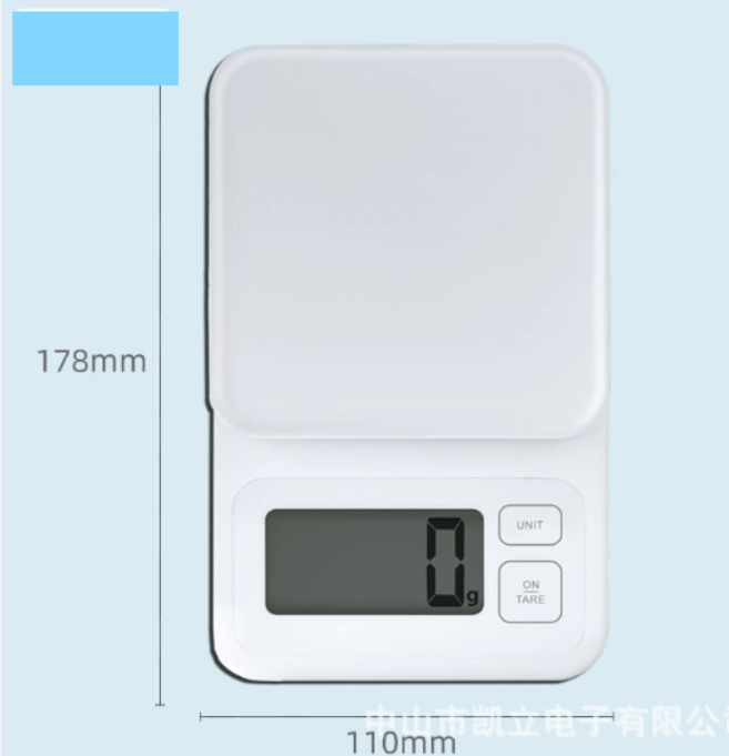 Electronic Scale